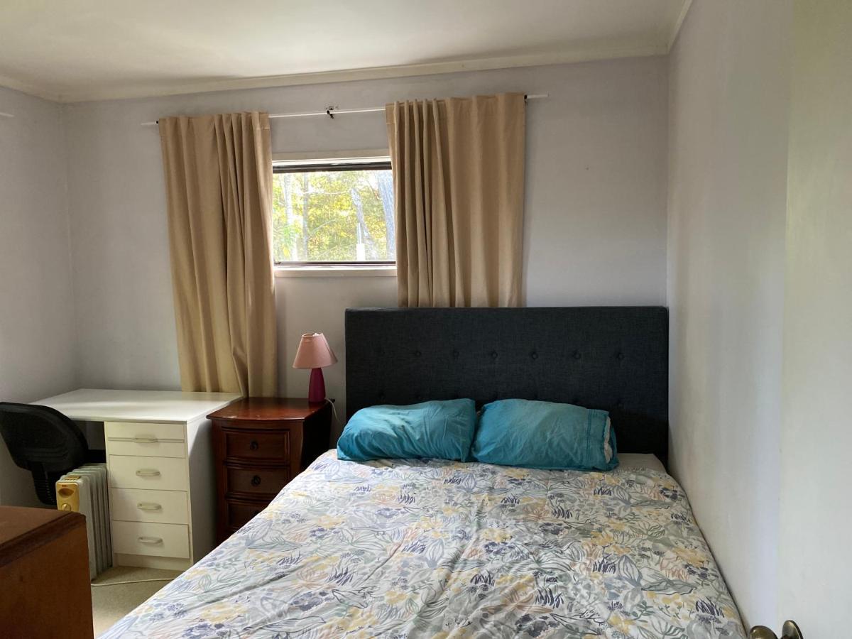 Bush , Birds And Relaxing Moments Apartment Auckland Bagian luar foto